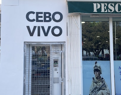 Caza y Pesca Almonacid Tienda de artículos de pesca