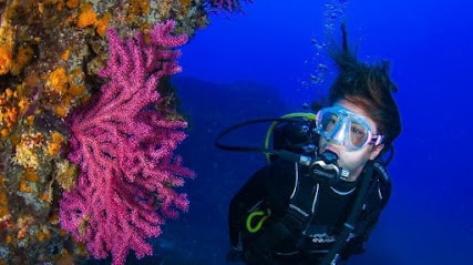 fotografía  Centollo dive club Club de buceo en Tarifa