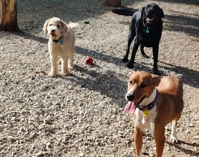 Centro Canino Fontagria Guardería canina
