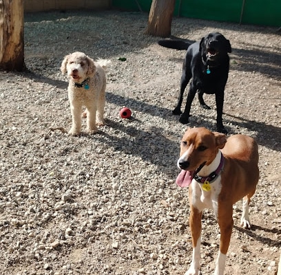 Centro Canino Fontagria Guardería canina