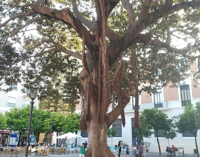 fotografía  Centro Comercial Abierto Jerez - ACOJE Asociación u organización en Jerez de la Frontera