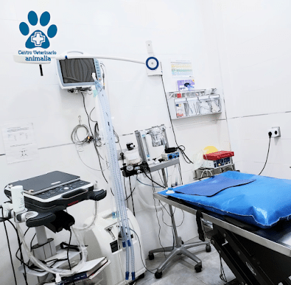 fotografía  Centro Veterinario Animalia Hospital veterinario en Chiclana de la Frontera