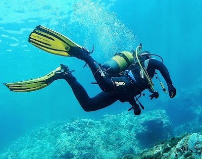 Centro de Buceo Lijo-sub Profesor de buceo