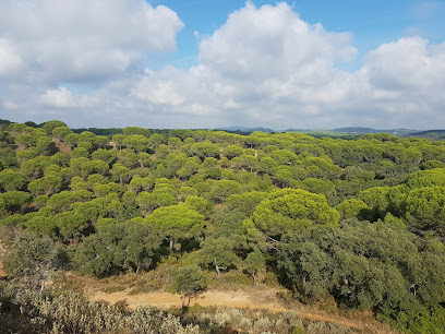 fotografía  Cerro del Águila Zona de senderismo en San Roque