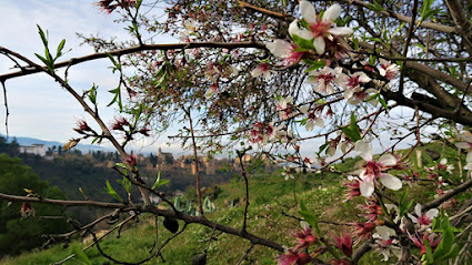 Cicerone Granada Agencia de viajes