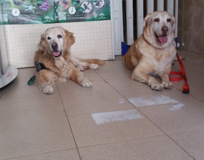 fotografía  Clínica Veterinaria Al-Andalus Veterinario en Sanlúcar de Barrameda