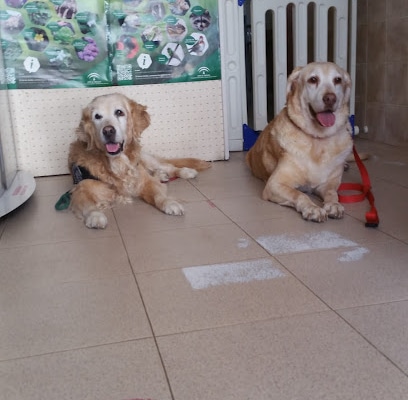 fotografía  Clínica Veterinaria Al-Andalus Veterinario en Sanlúcar de Barrameda