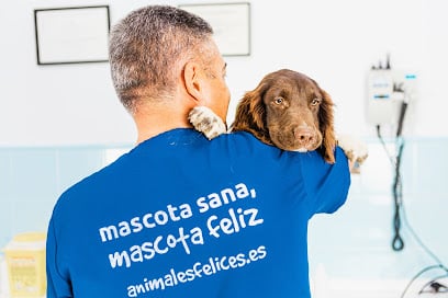 fotografía  Clínica Veterinaria Ávila Chiclana Veterinario en Chiclana de la Frontera