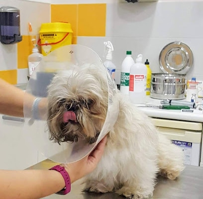 fotografía  Clínica Veterinaria San Marcos Veterinario en La Línea de la Concepción