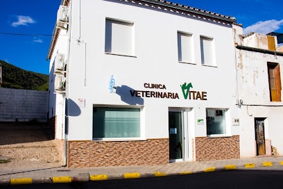 fotografía  Clínica Veterinaria Vitae Veterinario en Algodonales