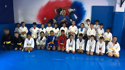 fotografía  Club Deportivo KODOKAN SAMBO 2000 Escuela de artes marciales en Jerez de la Frontera