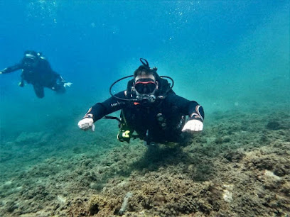 Club Escuela de Buceo y Submarinismo GlupGlup (CBS GLUPGLUP) Profesor de buceo