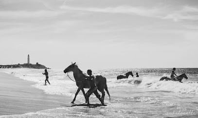 fotografía  Club Hípico Equinsoul (Beach) Servicio de paseo a caballo en Zahora