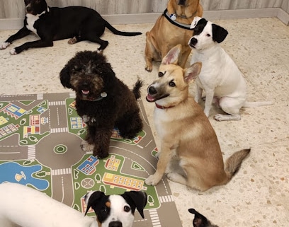 fotografía  Coleguau Guardería canina en Jerez de la Frontera