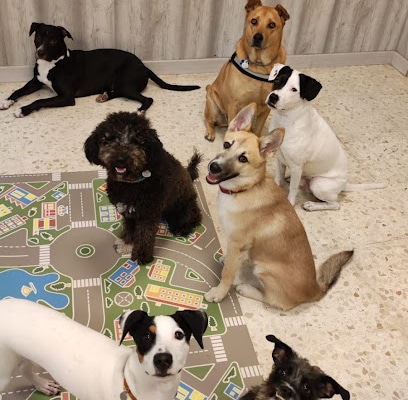 fotografía  Coleguau Guardería canina en Jerez de la Frontera