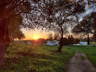 fotografía  Coliving Cádiz Espacio de coworking en Alcalá de los Gazules