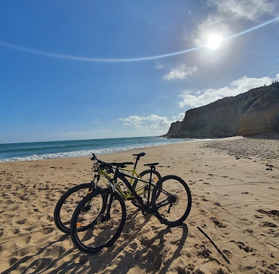 fotografía  Conil Bikes - Conil Rent Servicio de alquiler de bicicletas en Conil de la Frontera