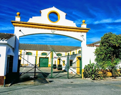 fotografía  Cooperativa Vitivinícola Jerezana Nuestra Señora de las Angustias Bodega en Jerez de la Frontera