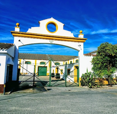 fotografía  Cooperativa Vitivinícola Jerezana Nuestra Señora de las Angustias Bodega en Jerez de la Frontera