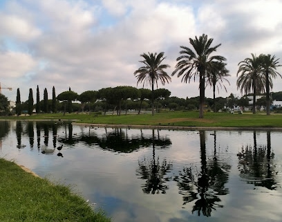 fotografía  Costa Ballena Urbanización en Chipiona