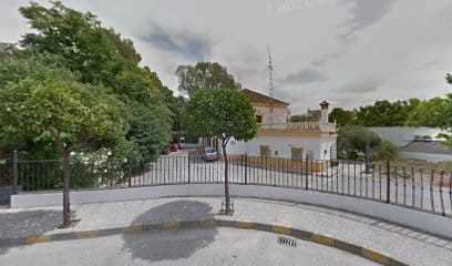 fotografía  Cruz Roja - Asamblea Local de Arcos Organización no gubernamental en Arcos de la Frontera