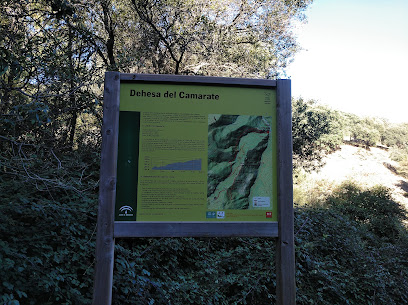 Dehesa del Camarate Bosque nacional