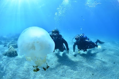 Different Scuba School - DSS - Escuela de Buceo Profesor de buceo