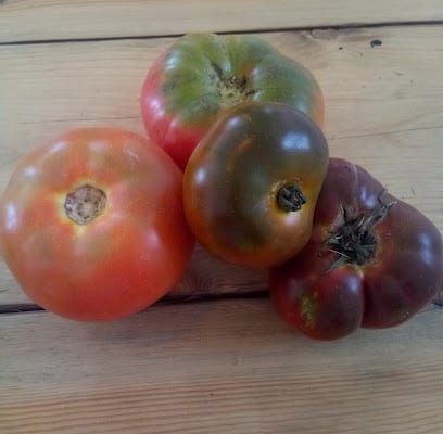 fotografía  El Chopo Venta Directa Productos De La Huerta Huerto en El Puerto de Sta María