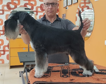 El Perro Loco Peluquero de mascotas