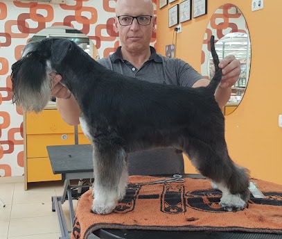 El Perro Loco Peluquero de mascotas
