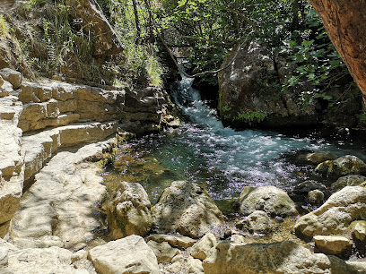 fotografía  Electrica de la Sierra Zona de senderismo en El Bosque