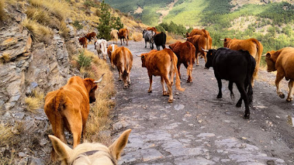 Equi-libre Sierra Nevada Servicio de paseo a caballo