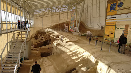 Estación Paleontológica Valle del Río Fardes Museo de ciencias