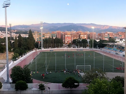 Resultados Gimnasio