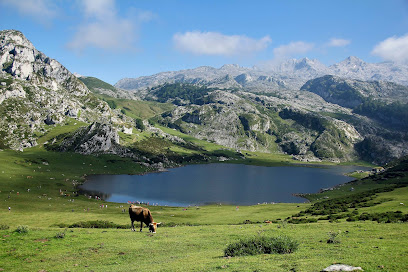 Excursiones.net Oficinas de empresa