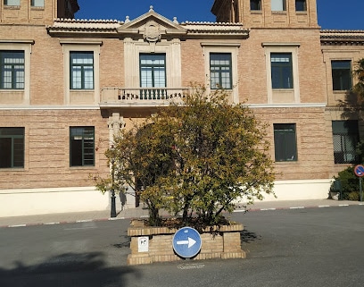 Facultad de Bellas Artes . Universidad de Granada (UGR) Universidad