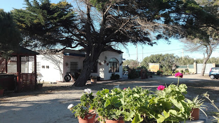 fotografía  Finca Las Dunas  en Rota