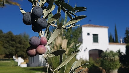 fotografía  Finca Maravilla Verde