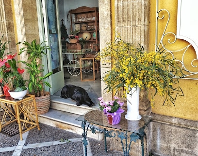 fotografía  Flores Olmedo Floristería en Jerez de la Frontera