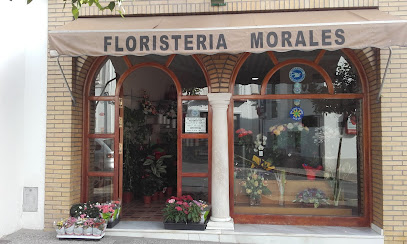 fotografía  Floristería Morales Floristería en Arcos de la Frontera