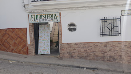 fotografía  Floristeria barragan Floristería en Villamartin