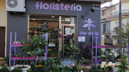 Floristería la Flor de Lis Floristería