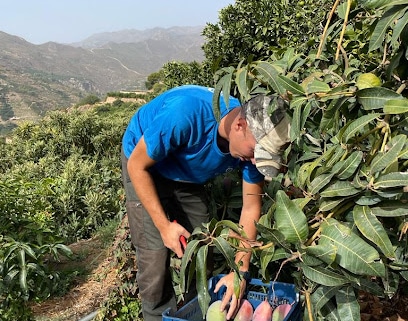 Frutas Garsan S.L. Mayorista de frutas y hortalizas