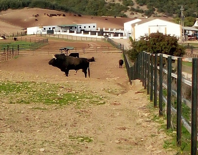 fotografía  GANADERIA FUENTE YMBRO - Finca Los Romerales Atracción turística en San José del Valle