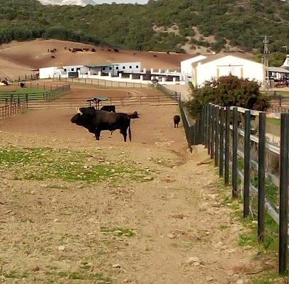 fotografía  GANADERIA FUENTE YMBRO - Finca Los Romerales Atracción turística en San José del Valle