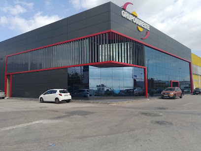 Grupo Sureste Servicio de seguridad