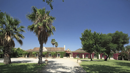 fotografía  Hacienda Almoguera Salón de bodas en Los Barrios