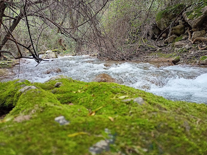 fotografía  Inicio sendero rio Majaceite Zona de senderismo en El Bosque