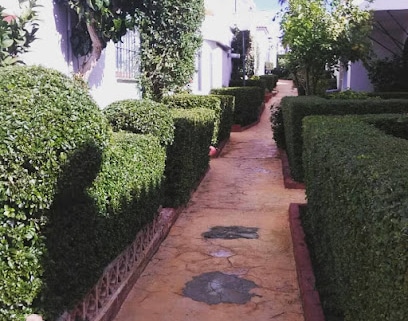 JARDINERIA COSTA DEL SOL LR Jardín