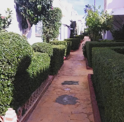 JARDINERIA COSTA DEL SOL LR Jardín